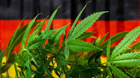 cannabis legalisierung aktueller stand bayern